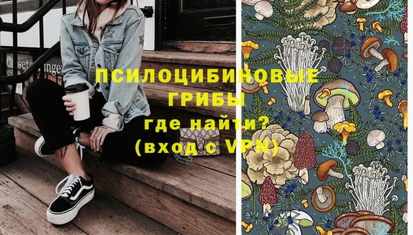 mdpv Алзамай