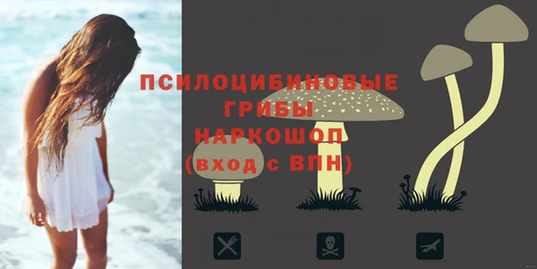 PSILOCYBIN Алексеевка