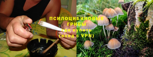 mdpv Алзамай