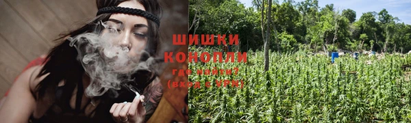 PSILOCYBIN Алексеевка