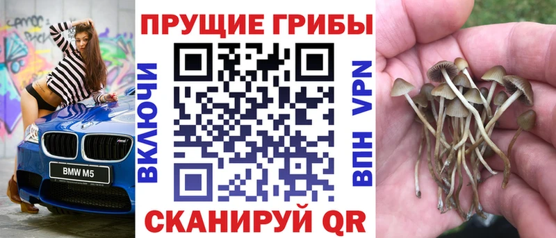 Псилоцибиновые грибы Psilocybine cubensis  даркнет сайт  Островной 